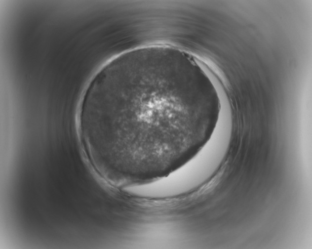 X0000088671054200706211847