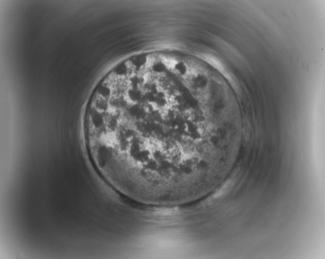 X0000088671055200706211847