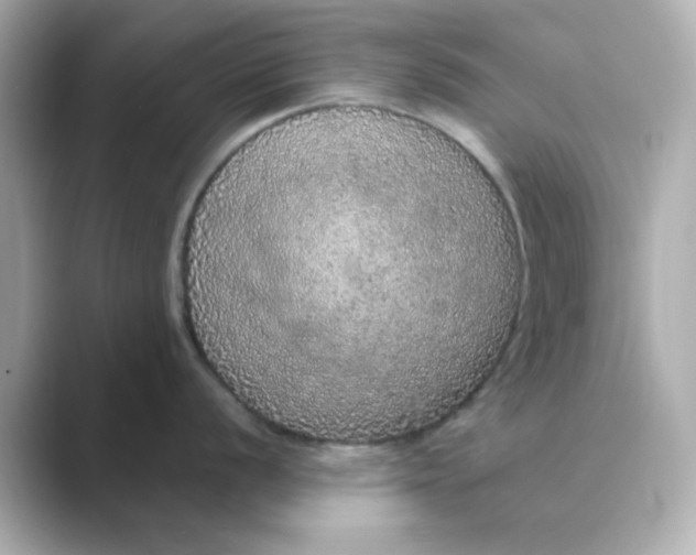 X0000088671056200706211847
