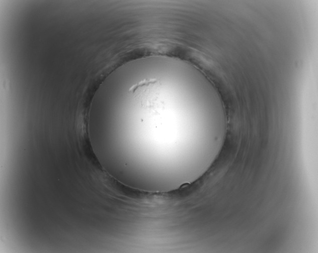 X0000088671058200706211847