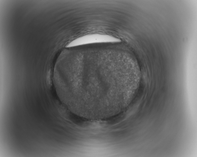 X0000088671060200706211847