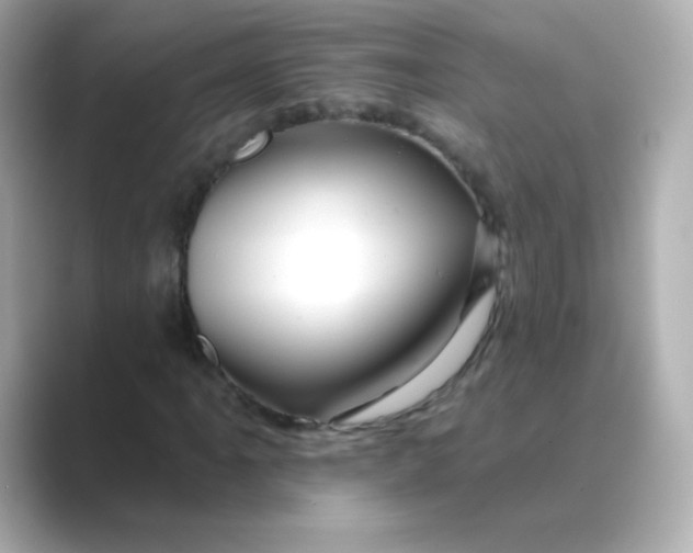 X0000088671061200706211847