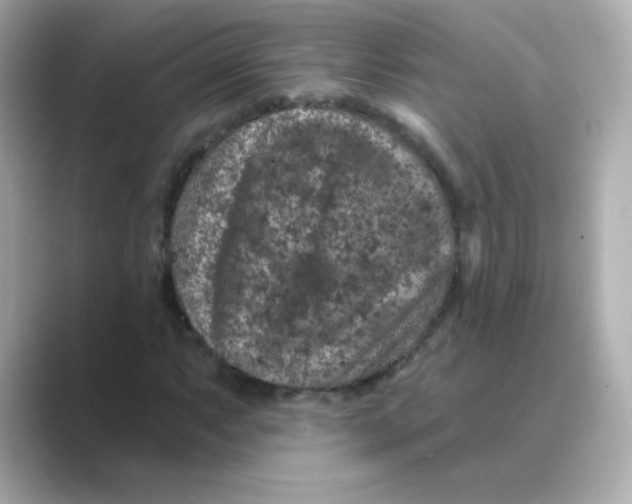 X0000088671063200706211847
