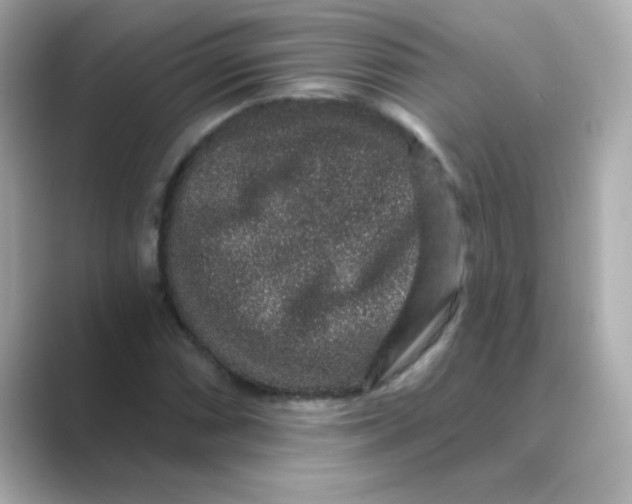 X0000088671066200706211847