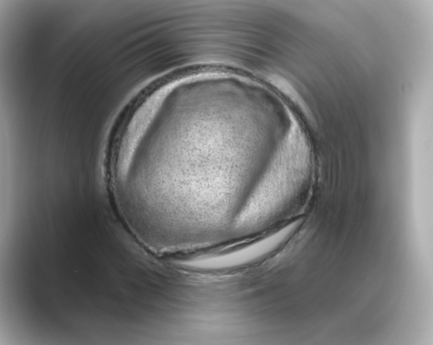 X0000088671068200706211847