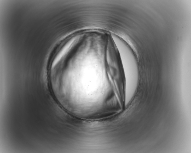 X0000088671072200706211847