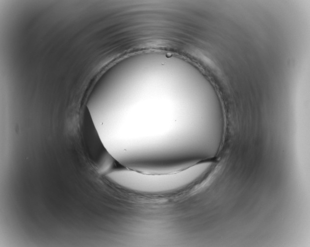 X0000088671073200706211847