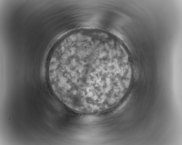 X0000088671074200706211847