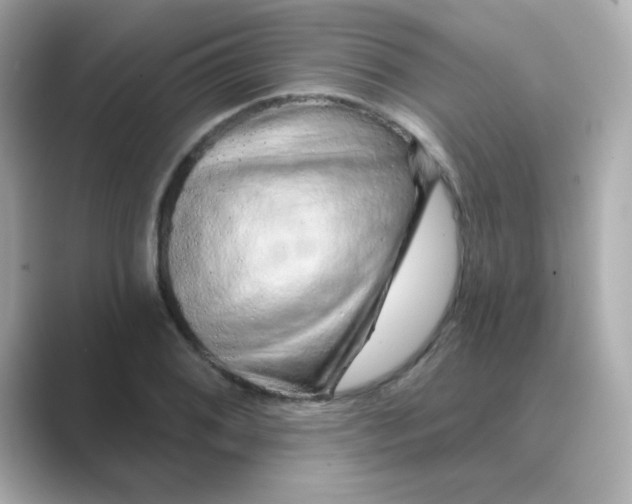 X0000088671076200706211847
