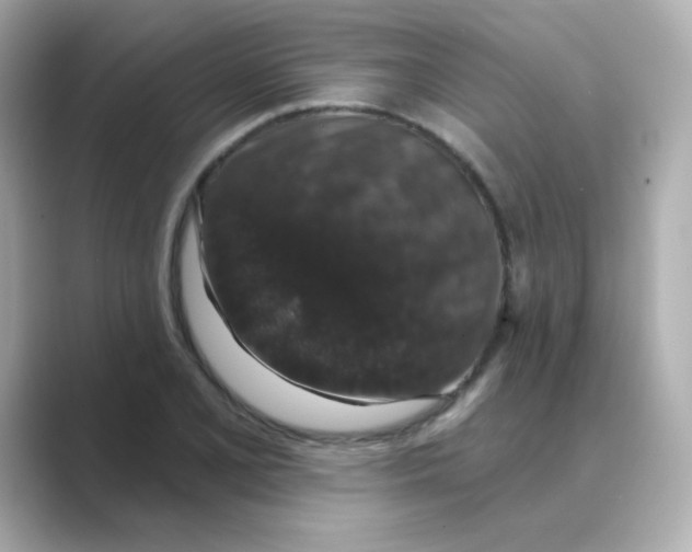 X0000088671077200706211847