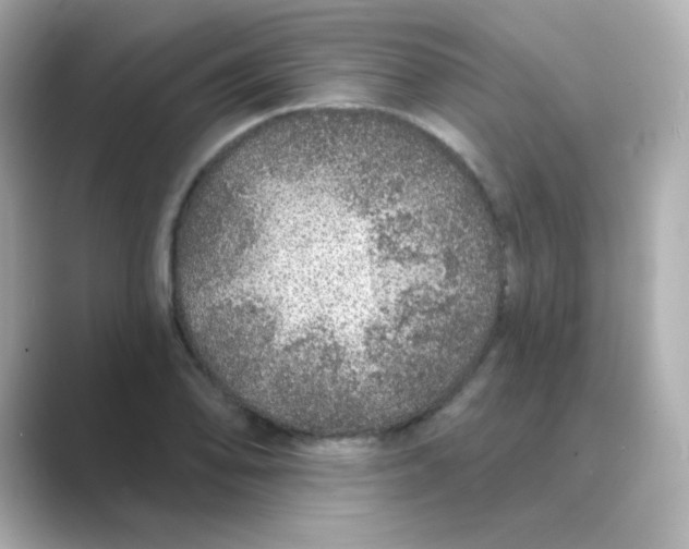 X0000088671078200706211847