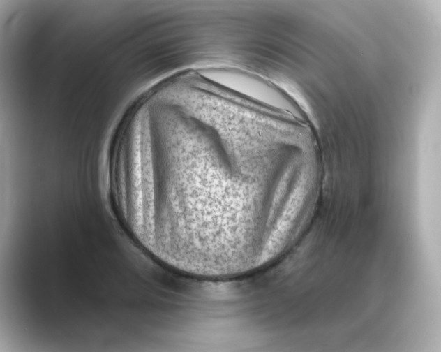 X0000088671080200706211847
