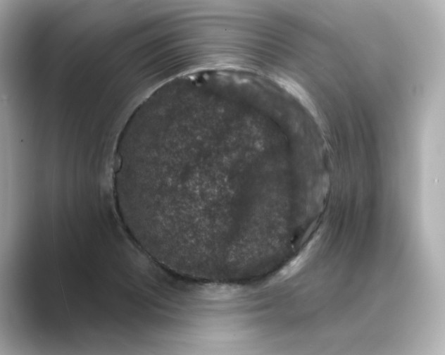 X0000088671081200706211846