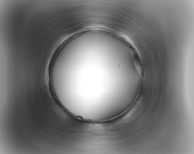 X0000088671082200706211846