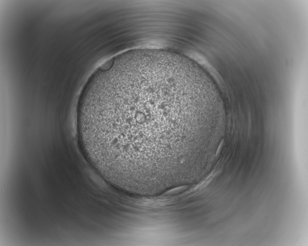 X0000088671083200706211846