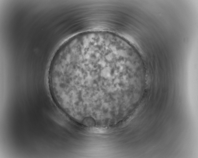 X0000088671086200706211846