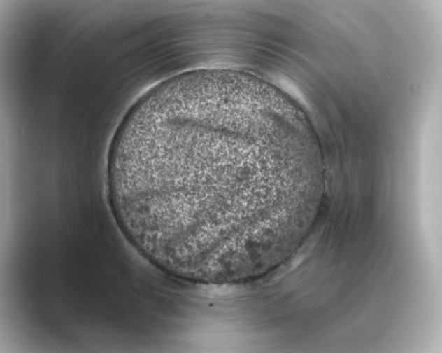 X0000088671087200706211846