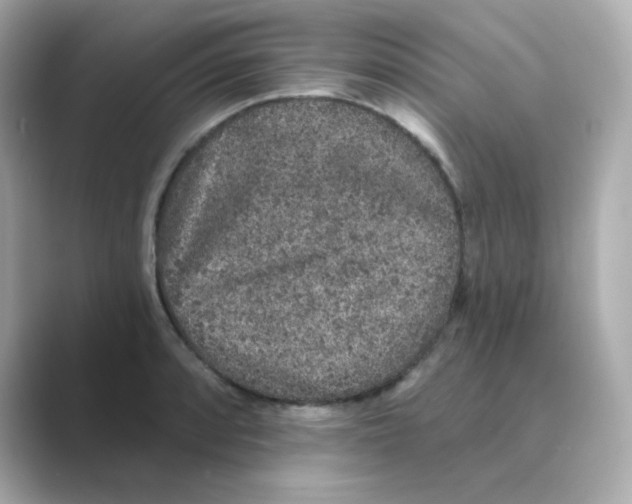 X0000088671088200706211846