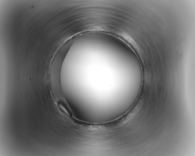 X0000088671089200706211846