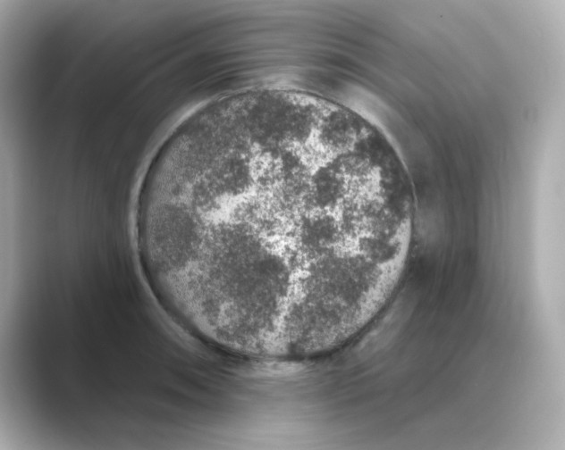 X0000088671090200706211846