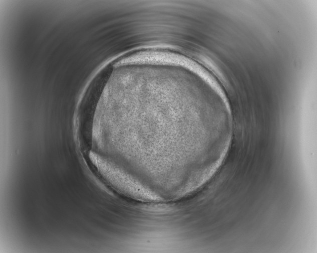 X0000088671092200706211846