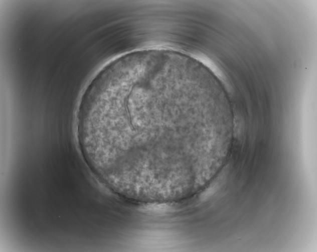 X0000088671094200706211846