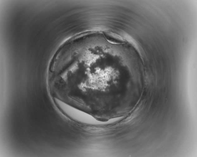 X0000088671095200706211846