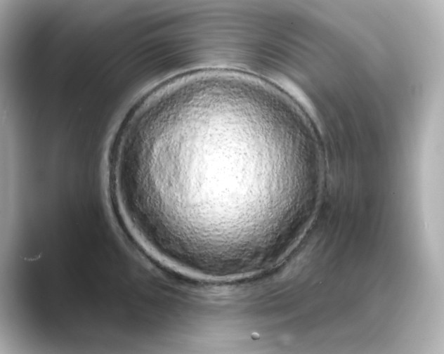 X0000088671096200706211846