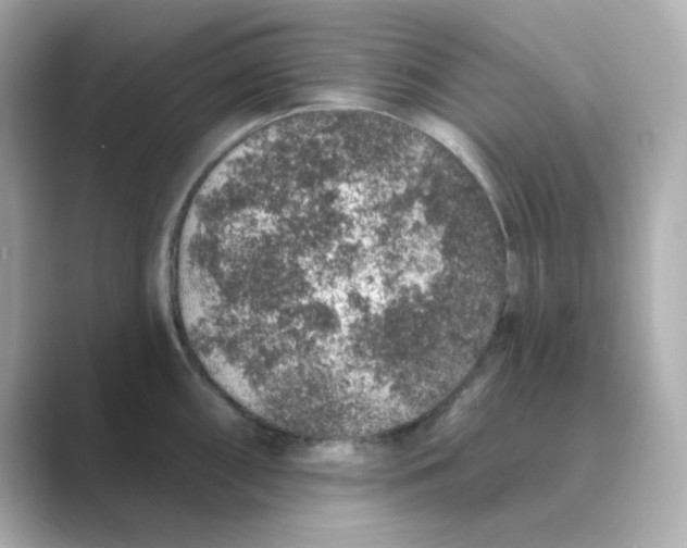 X0000088671098200706211846