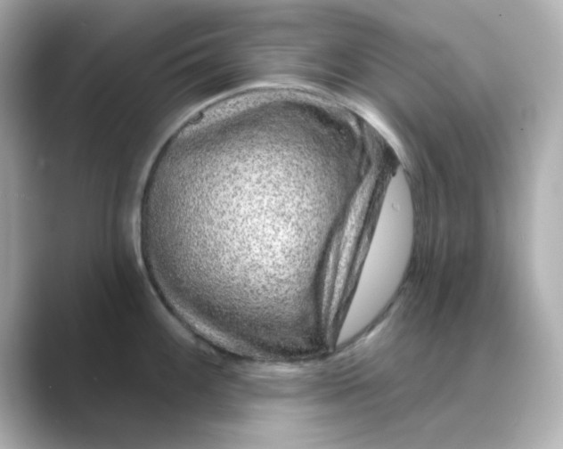 X0000088671100200706211846