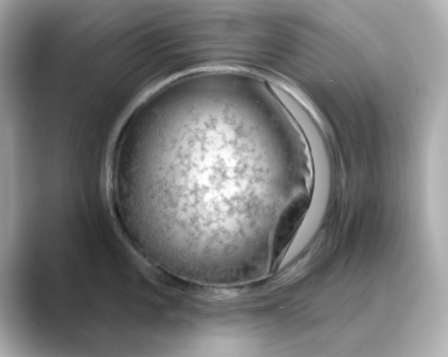 X0000088671101200706211846