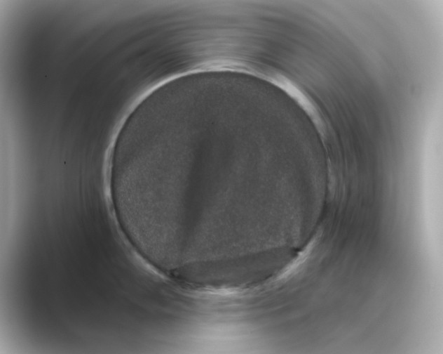X0000088671102200706211846