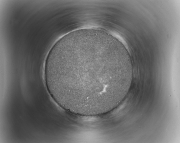 X0000088671103200706211846