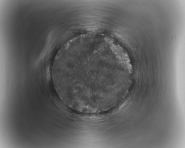 X0000088671106200706211846