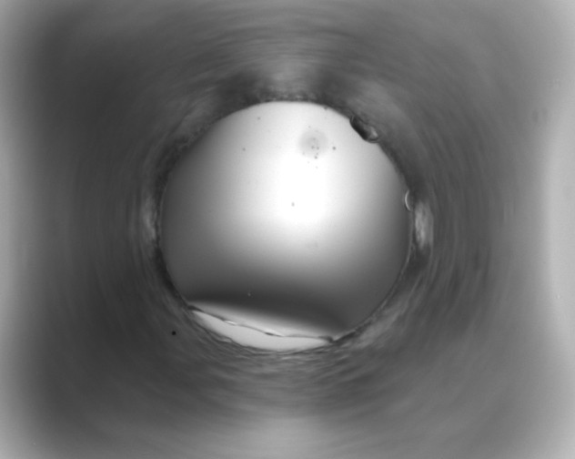 X0000088671107200706211846