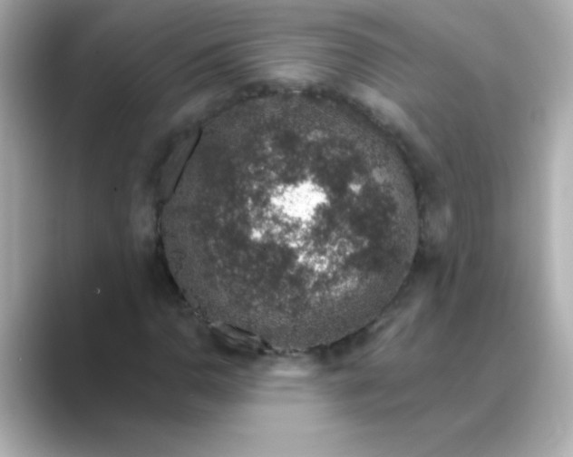X0000088671110200706211846