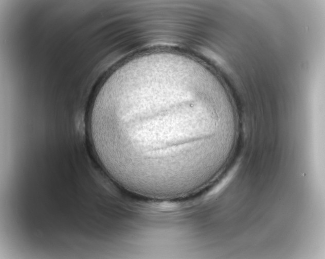 X0000088671113200706211846