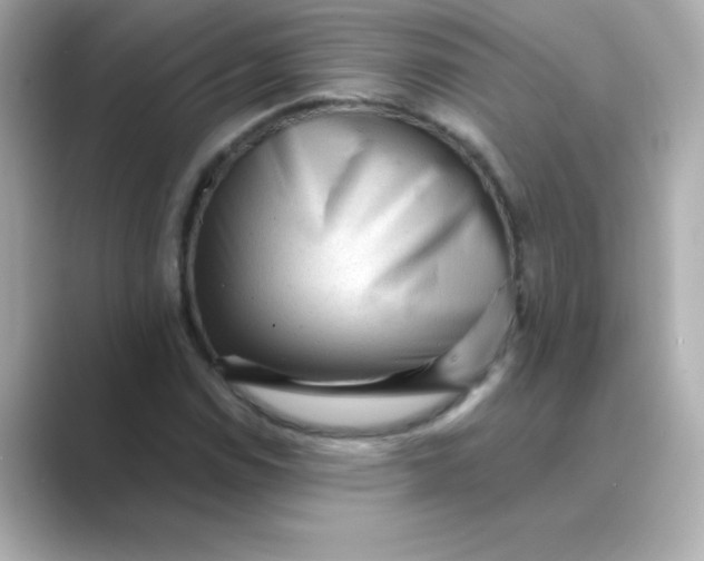 X0000088671114200706211846