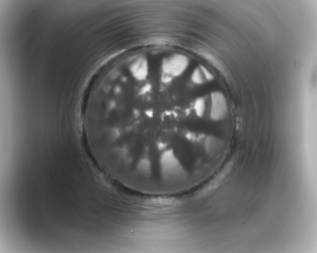 X0000088671117200706211846