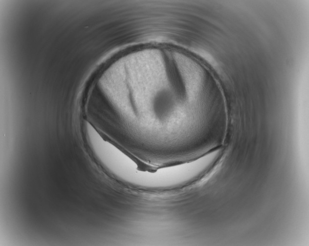 X0000088671118200706211846