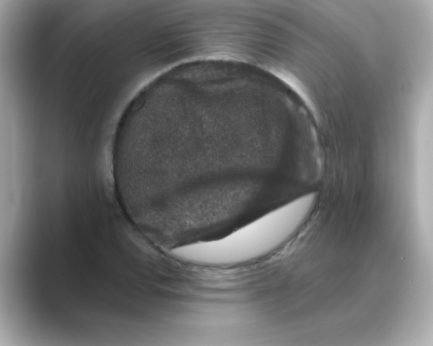 X0000088671120200706211846