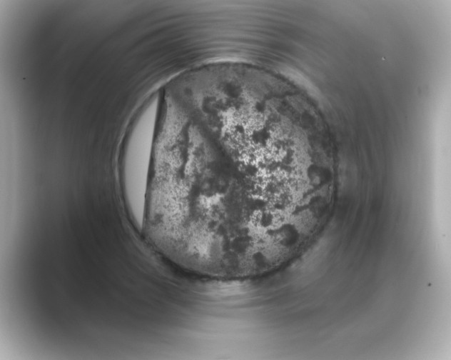X0000088671121200706211846