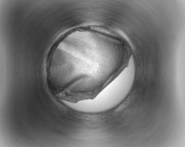 X0000088671124200706211846