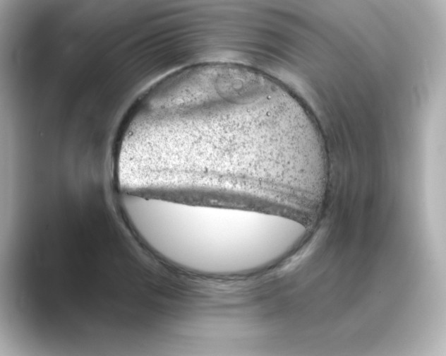 X0000088671125200706211846