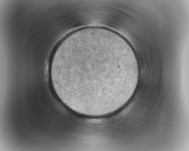 X0000088671126200706211846