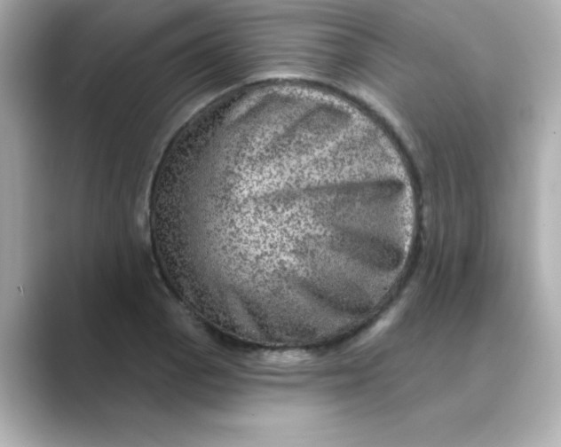 X0000088671129200706211846