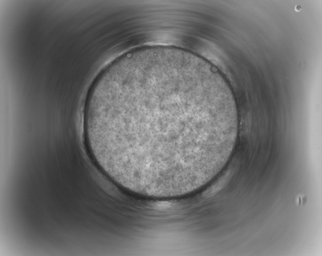 X0000088671130200706211846
