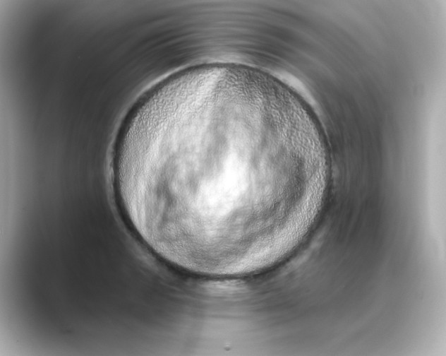 X0000088671133200706211846