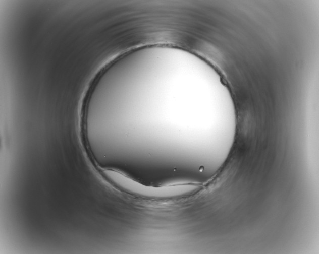 X0000088671135200706211846