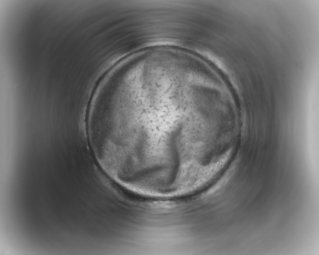 X0000088671137200706211846